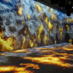 Musée du Bien-Être à Nathdwara : une Expérience Immersive