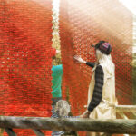 Festival international de jardins 2025 : les lauréats et projets primés